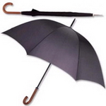 Executive Rain Umbrella, Umbrellas